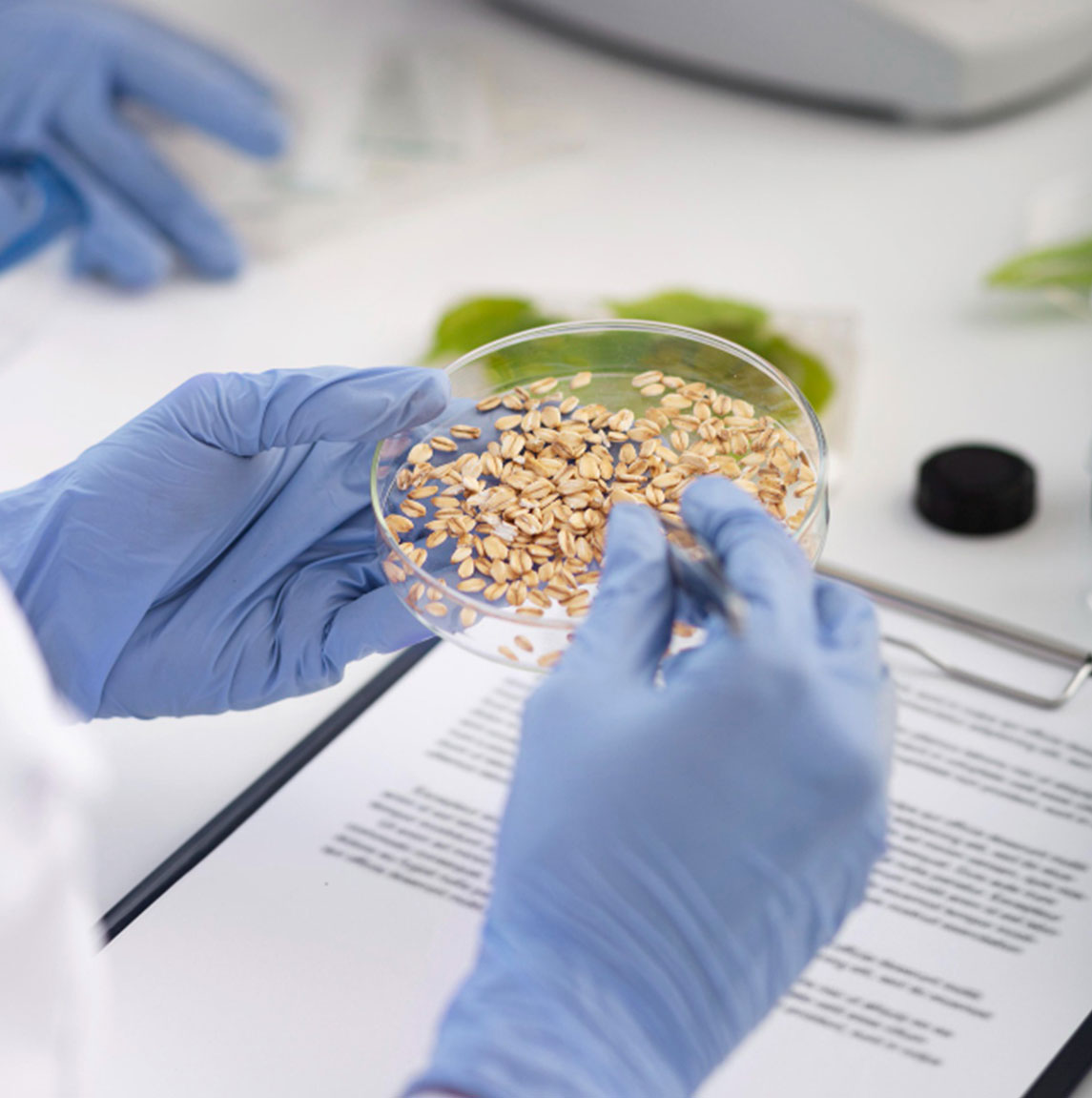 Food intolerance testing